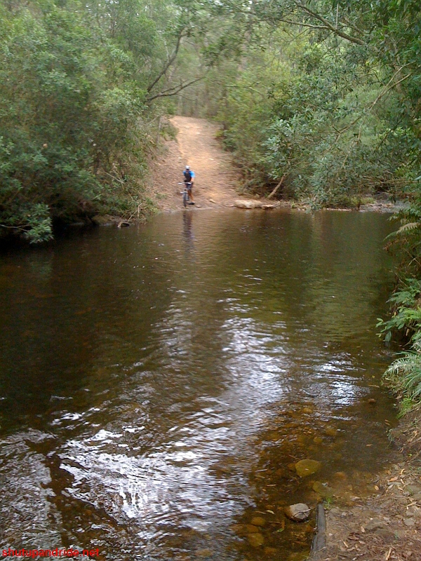 IMG_0135.jpg