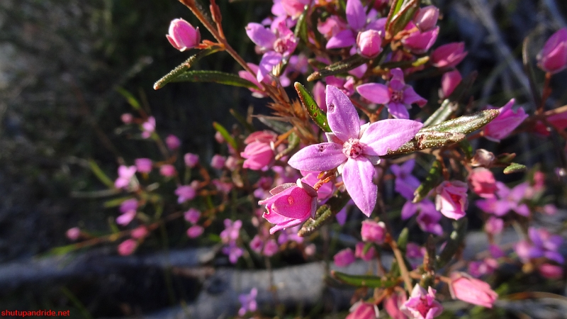 DSC09051.JPG