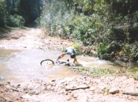 Richard5